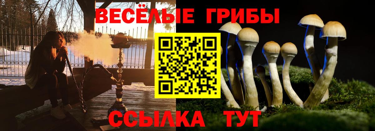 Галлюциногенные грибы Psilocybe Нижнекамск